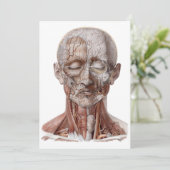 menselijke anatomiewetenschap, hoofd Throat Nose (Staand voorkant)