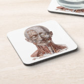  menselijke anatomiewetenschap, hoofd Throat Nose Bier Onderzetter (Linkerzijde)