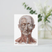  menselijke anatomiewetenschap, hoofd Throat Nose Briefkaart (Staand voorkant)