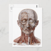  menselijke anatomiewetenschap, hoofd Throat Nose Briefkaart (Voorkant / Achterkant)