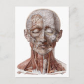 menselijke anatomiewetenschap, hoofd Throat Nose Briefkaart (Voorkant)