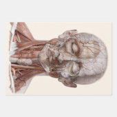menselijke anatomiewetenschap, hoofd Throat Nose Inpakpapier Vel (Voorkant)