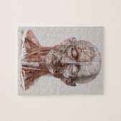 menselijke anatomiewetenschap, hoofd Throat Nose Legpuzzel (Horizontaal)