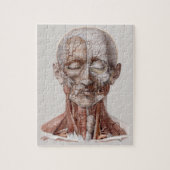 menselijke anatomiewetenschap, hoofd Throat Nose Legpuzzel (Verticaal)