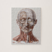  menselijke anatomiewetenschap, hoofd Throat Nose