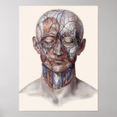 menselijke anatomiewetenschap, hoofd Throat Nose Poster (Voorkant)