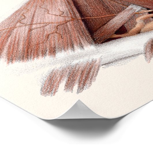  menselijke anatomiewetenschap, hoofd Throat Nose Poster (Hoek)