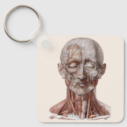  menselijke anatomiewetenschap, hoofd Throat Nose Sleutelhanger (Voorkant)