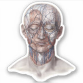  menselijke anatomiewetenschap, hoofd Throat Nose Sticker (Voorkant)