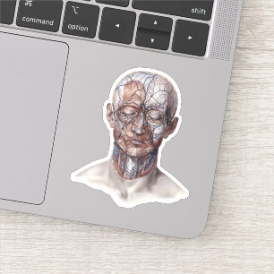 menselijke anatomiewetenschap, hoofd Throat Nose Sticker