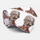  menselijke anatomiewetenschap, hoofd Throat Nose Stropdas (Opgerold)