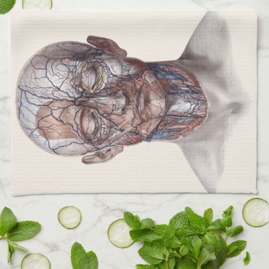  menselijke anatomiewetenschap, hoofd Throat Nose Theedoek (Gevouwen)