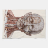 menselijke anatomiewetenschap, hoofd Throat Nose Theedoek (Horizontaal)