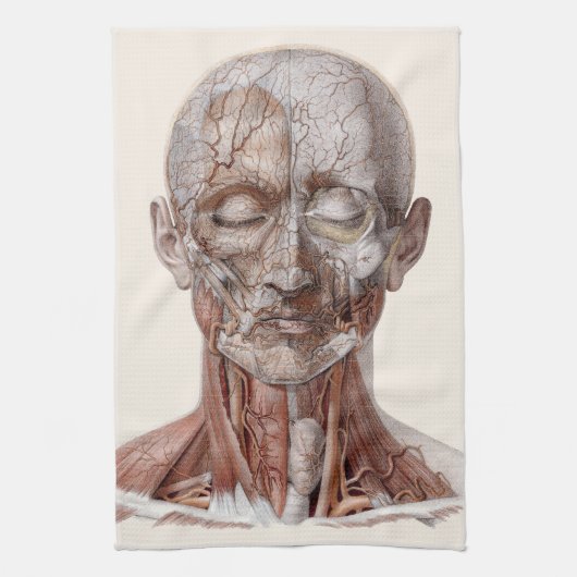 menselijke anatomiewetenschap, hoofd Throat Nose Theedoek (Verticaal)