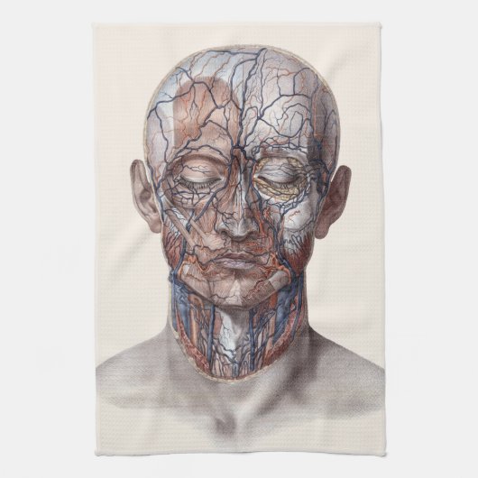  menselijke anatomiewetenschap, hoofd Throat Nose Theedoek (Verticaal)