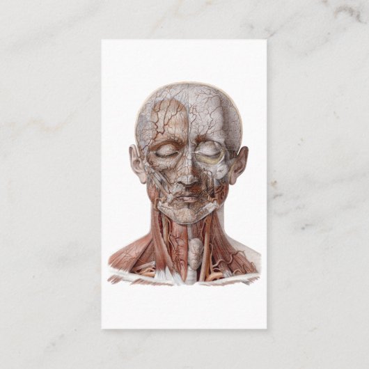 menselijke anatomiewetenschap, hoofd Throat Nose Visitekaartje (Achterkant)
