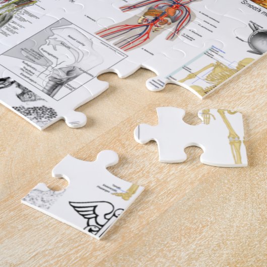 Menselijke anatomische medische kaart legpuzzel (Zijkant)