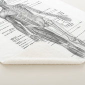 Menselijke anatomische medische kaart sherpa deken (3/4)