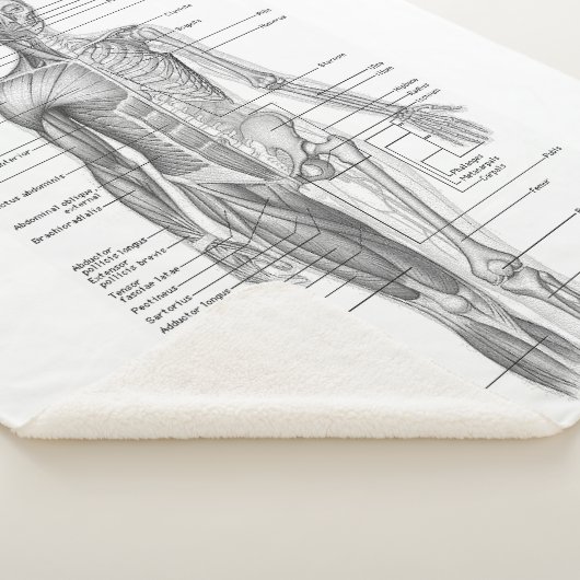 Menselijke anatomische medische kaart sherpa deken (3/4)