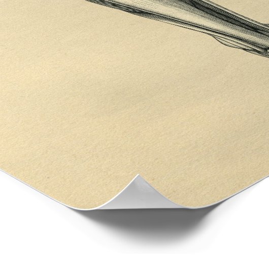 Menselijke Beenanatomie 1902 afdrukken Poster (Hoek)