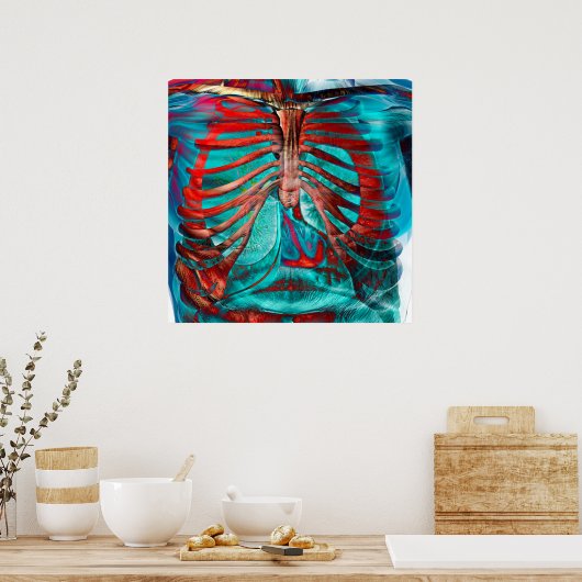 Menselijke borstkas poster (Keuken)