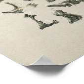 Menselijke Botten Anatomie  Afdrukken Poster (Hoek)