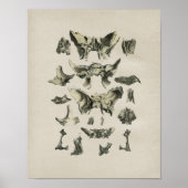 Menselijke Botten Anatomie  Afdrukken Poster (Voorkant)