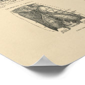  menselijke brein Anatomy 1880 Afdruk Poster (Hoek)