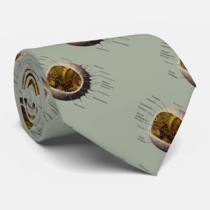 Menselijke cel stropdas