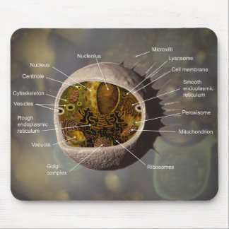 Menselijke celmousepad muismat