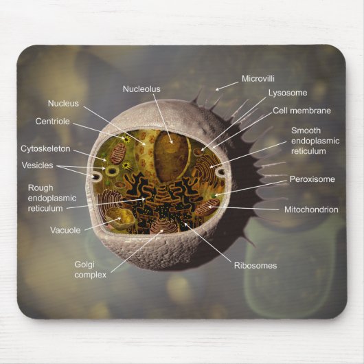 Menselijke celmousepad muismat (Voorkant)