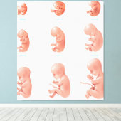 Menselijke foetus canvas afdruk (Insitu (Houten vloer))