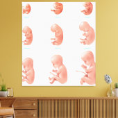 Menselijke foetus canvas afdruk (Insitu (Woonkamer))
