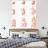 Menselijke foetus canvas afdruk (Insitu (Slaapkamer))