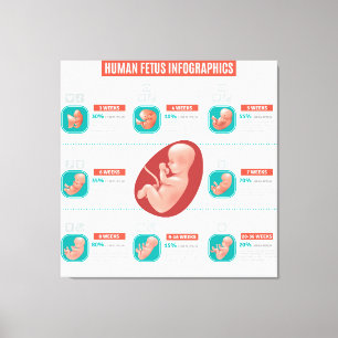Menselijke foetus infographics canvas afdruk