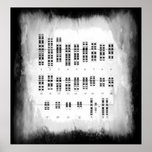 MENSELIJKE GENETISCHE VARIATIE - KARYOTYPE POSTER