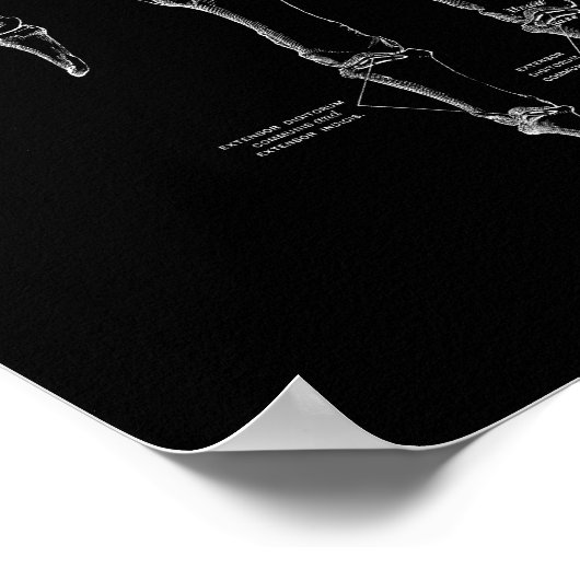 Menselijke Hand Botten Anatomie Illustratie Oud Me Poster (Hoek)