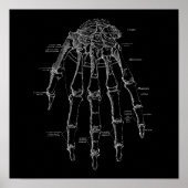 Menselijke Hand Botten Anatomie Illustratie Oud Me Poster (Voorkant)