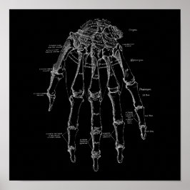 Menselijke Hand Botten Anatomie Illustratie Oud Me Poster