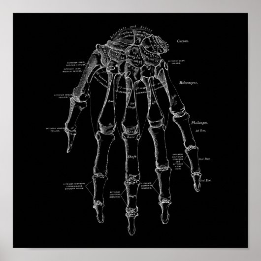 Menselijke Hand Botten Anatomie Illustratie Oud Me Poster (Voorkant)