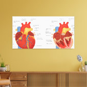 Menselijke hart anatomie canvas afdruk (Insitu (Woonkamer))