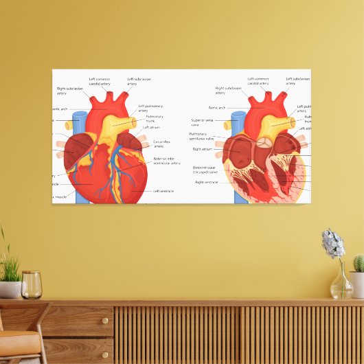 Menselijke hart anatomie canvas afdruk (Insitu (Woonkamer))