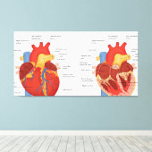 Menselijke hart anatomie canvas afdruk (Insitu (Houten vloer))