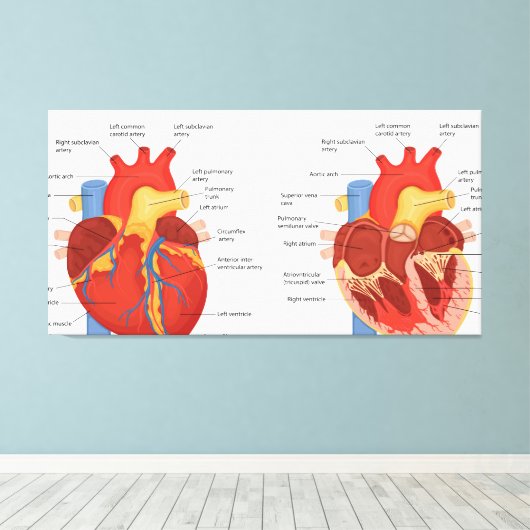 Menselijke hart anatomie canvas afdruk (Insitu (Houten vloer))