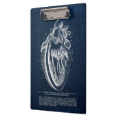 Menselijke hartanatomie Binnenste Uitzicht Klembord (Links)