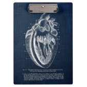 Menselijke hartanatomie Binnenste Uitzicht Klembord (Voorkant)