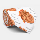Menselijke hartanatomie Medische diagnostiek Stropdas (Opgerold)