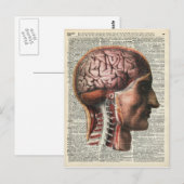 Menselijke hersenanatomie briefkaart (Voorkant / Achterkant)