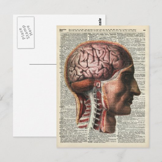 Menselijke hersenanatomie briefkaart (Voorkant / Achterkant)