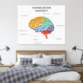 Menselijke hersenanatomie canvas afdruk (Insitu (Slaapkamer))